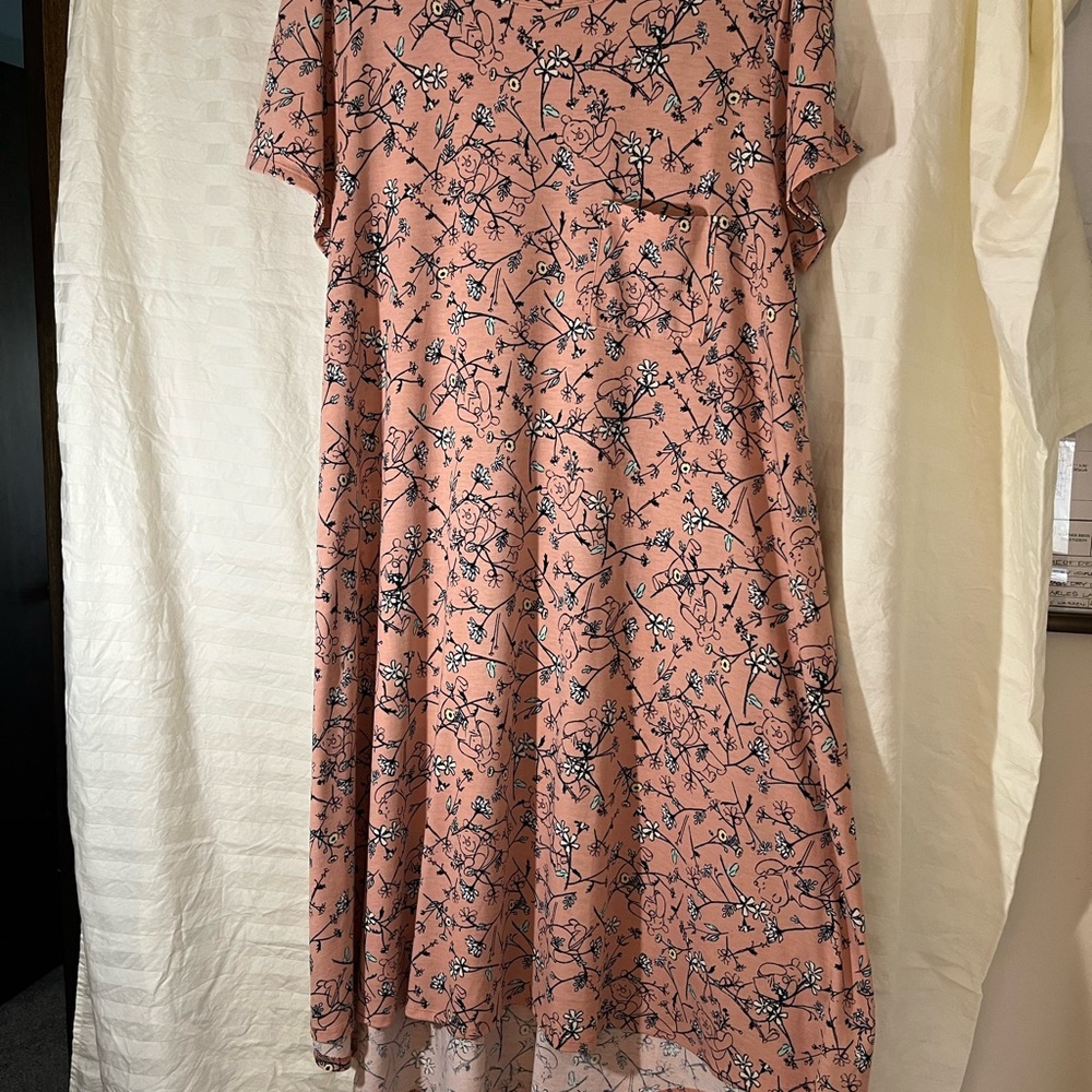 LuLaRoe 3XL Winnie the Pooh dress.